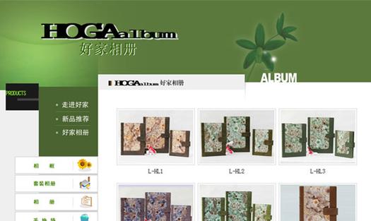 网络 专业网站建设与多媒体技术服务专家