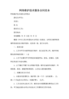 网络技术服务合同范本